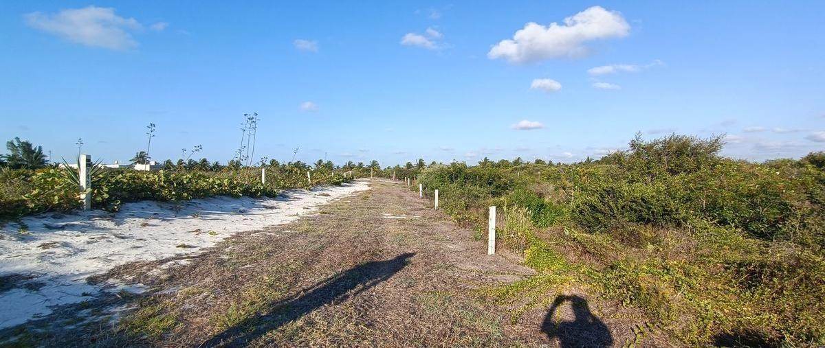 Foto de terreno habitacional en , san diego, dzemul, yucatán, 26500867 foto 05 Foto de terreno habitacional en venta en , san diego, dzemul, yucatán, 26500867 No. 05