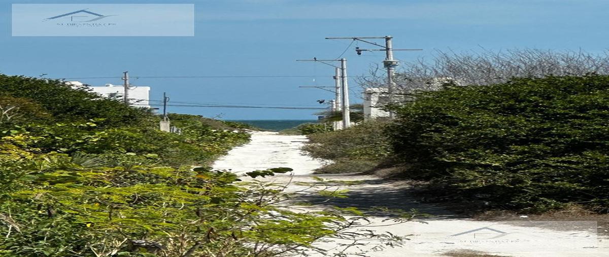 Foto de terreno habitacional en venta en  , san diego, dzemul, yucatán, 27251636 No. 04