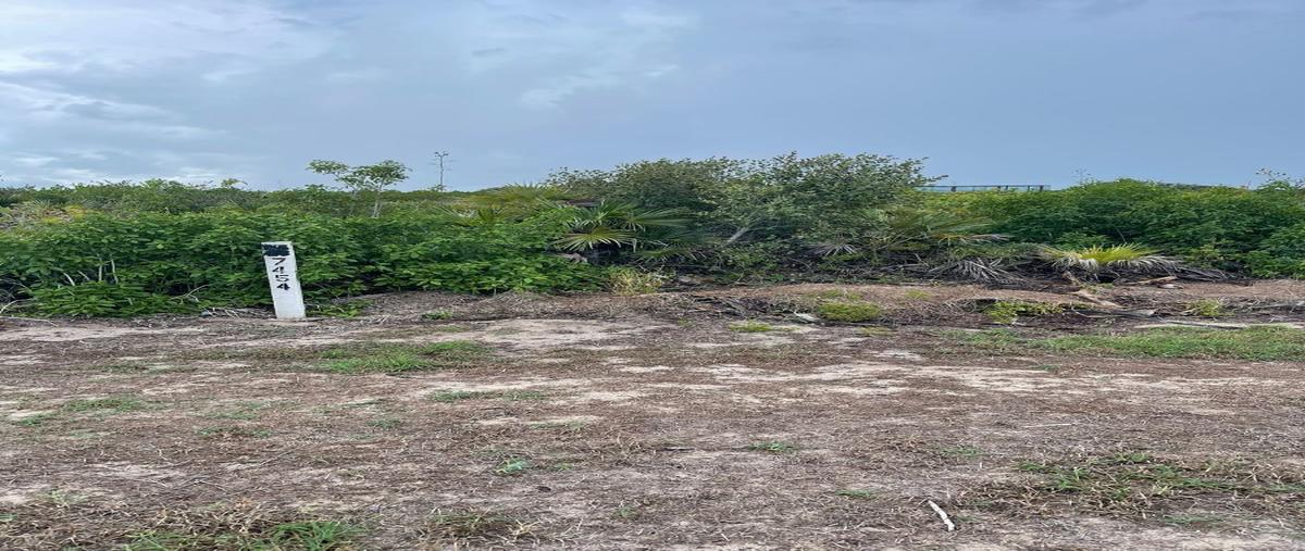 Foto de terreno habitacional en venta en  , san diego, dzemul, yucatán, 27267303 No. 03