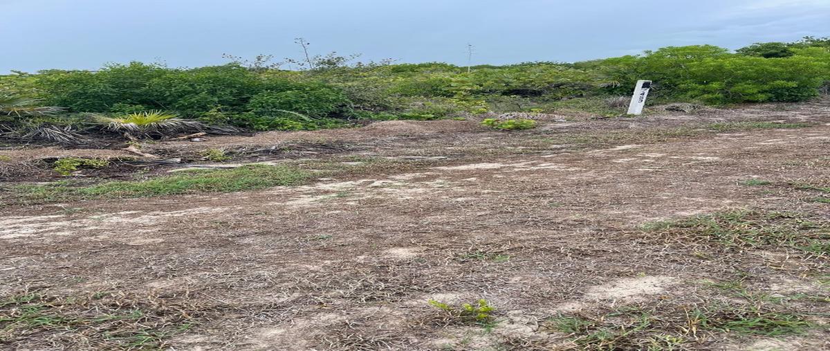 Foto de terreno habitacional en venta en  , san diego, dzemul, yucatán, 27267303 No. 04