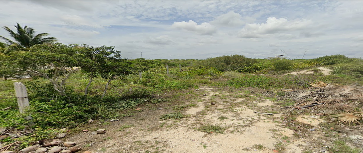 Foto de terreno habitacional en , san diego, dzemul, yucatán, 27435247 foto 03 Foto de terreno habitacional en venta en , san diego, dzemul, yucatán, 27435247 No. 03
