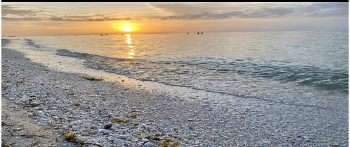 Foto de terreno habitacional en venta en  , san diego, dzemul, yucatán, 0 No. 04