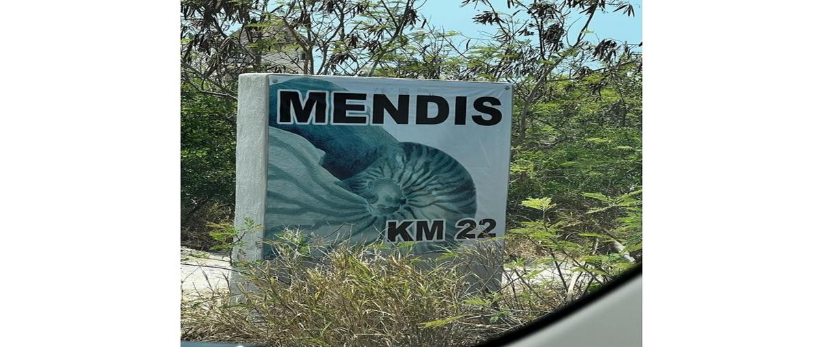 Foto de terreno habitacional en venta en  , san diego, dzemul, yucatán, 0 No. 05