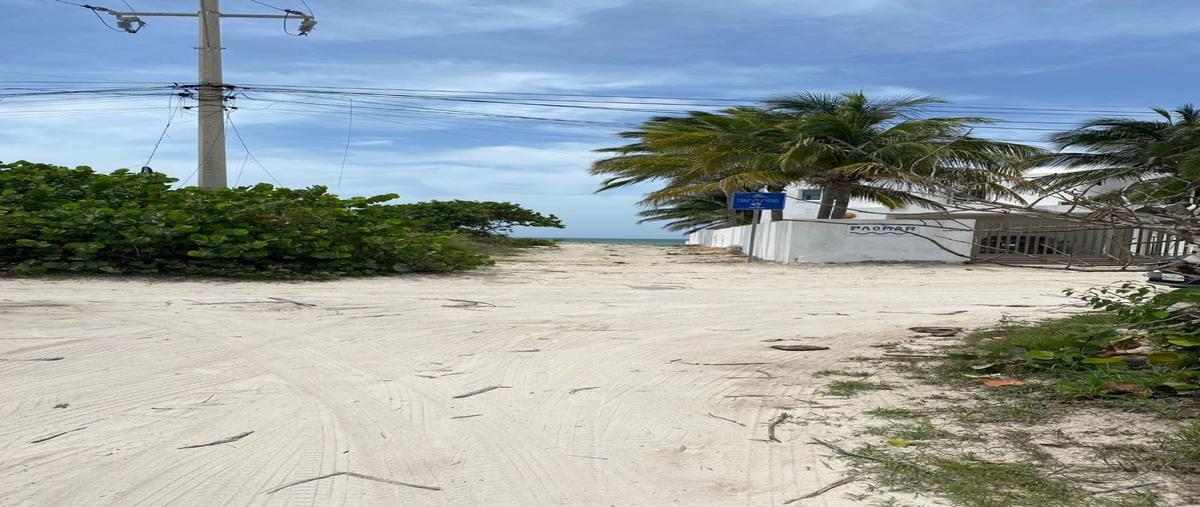 Foto de terreno habitacional en venta en  , san diego, dzemul, yucatán, 27574404 No. 05