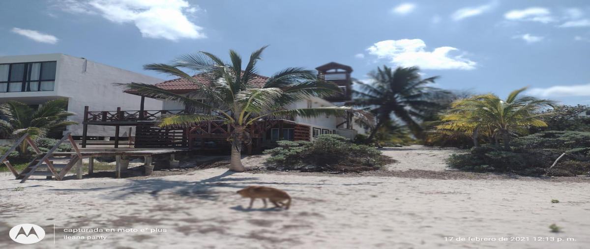 Foto de terreno habitacional en , san diego, dzemul, yucatán, 27659213 foto 01 Foto de terreno habitacional en venta en , san diego, dzemul, yucatán, 27659213 No. 01