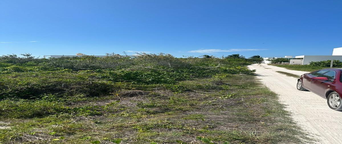 Foto de terreno habitacional en venta en  , san diego, dzemul, yucatán, 27747702 No. 03