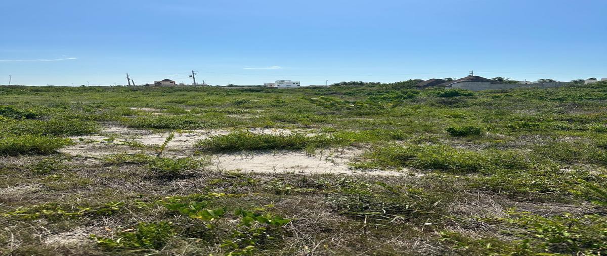 Foto de terreno habitacional en venta en  , san diego, dzemul, yucatán, 27747702 No. 04