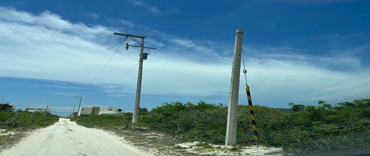 Foto de terreno habitacional en venta en  , san diego, dzemul, yucatán, 27838105 No. 03
