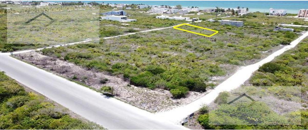 Foto de terreno habitacional en , san diego, dzemul, yucatán, 0 foto 01 Foto de terreno habitacional en venta en , san diego, dzemul, yucatán, 0 No. 01