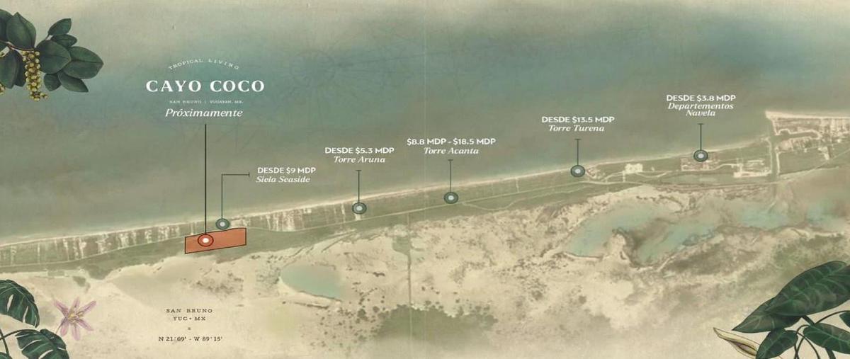 Foto de terreno habitacional en venta en  , san diego, dzemul, yucatán, 27892483 No. 03