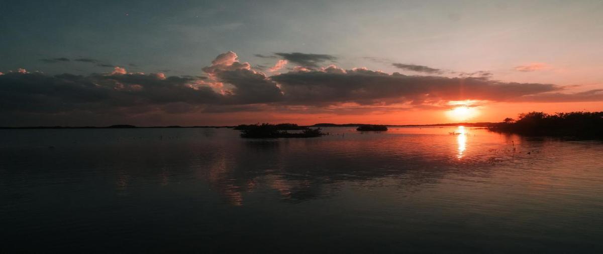 Foto de terreno habitacional en venta en  , san diego, dzemul, yucatán, 27892483 No. 05