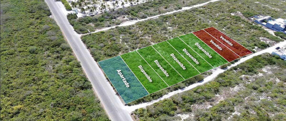 Foto de terreno habitacional en venta en  , san diego, dzemul, yucatán, 27951385 No. 03