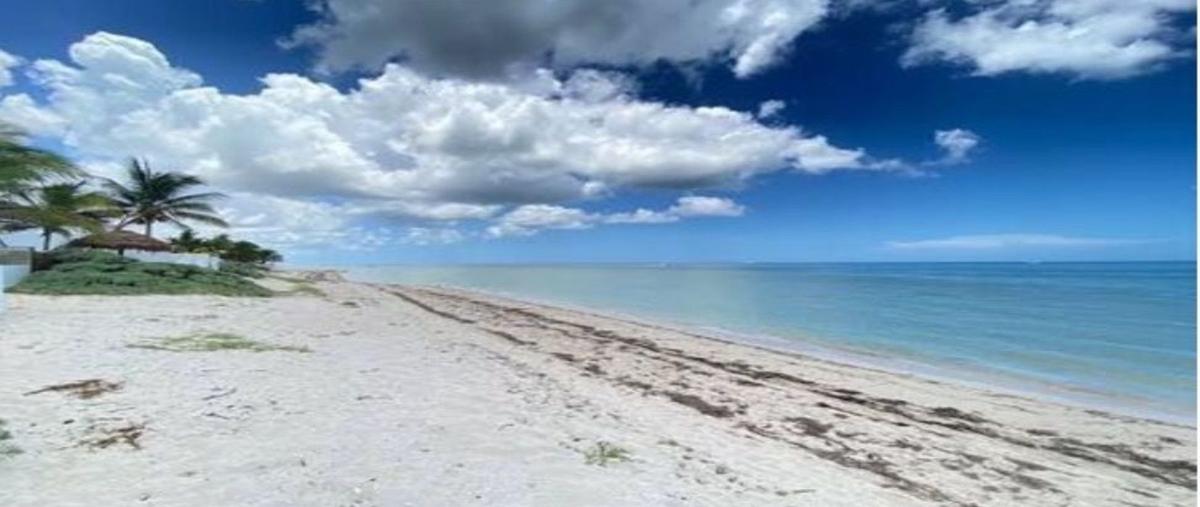 Foto de terreno habitacional en venta en  , san diego, dzemul, yucatán, 27954958 No. 03