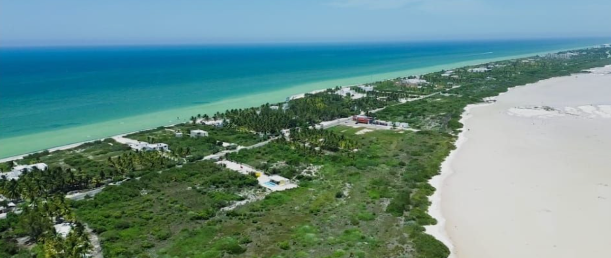 Foto de terreno habitacional en venta en  , san diego, dzemul, yucatán, 27974179 No. 04