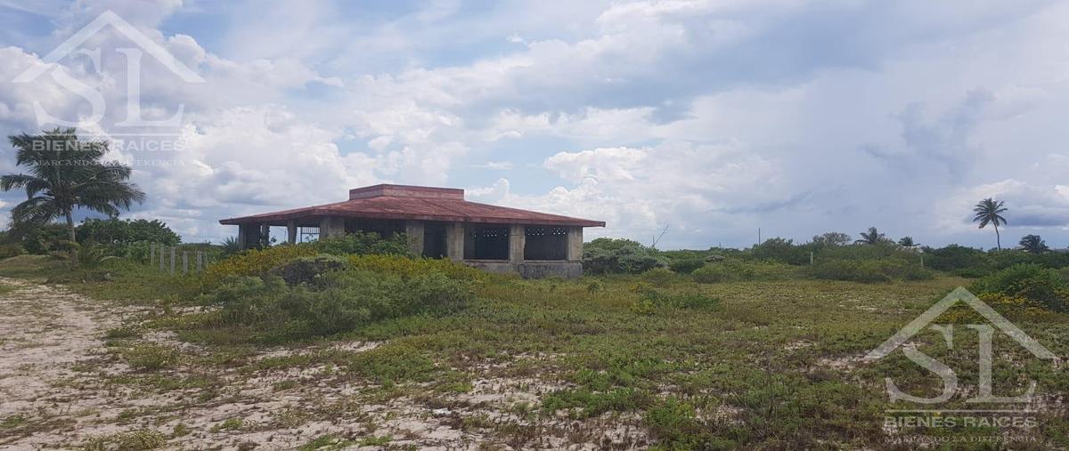 Foto de terreno habitacional en , san diego, dzemul, yucatán, 28015545 foto 04 Foto de terreno habitacional en venta en , san diego, dzemul, yucatán, 28015545 No. 04