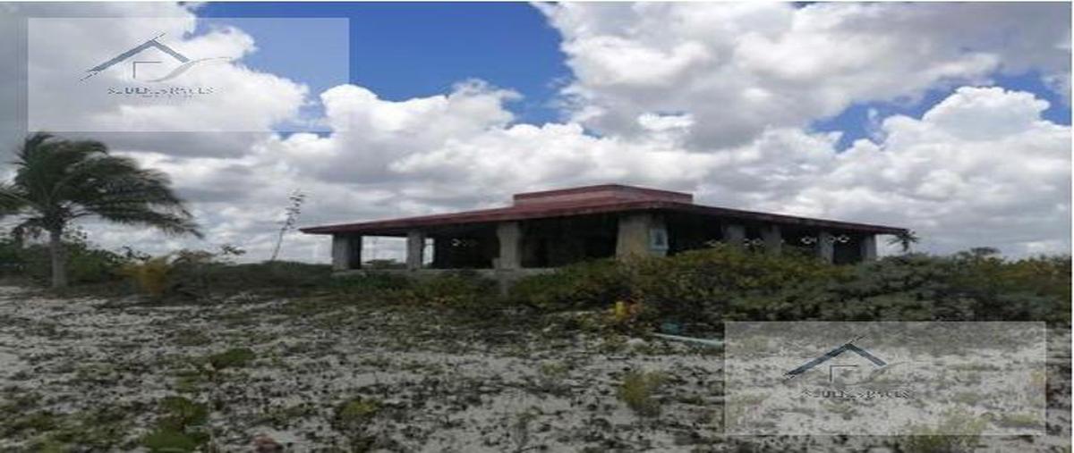 Foto de terreno habitacional en , san diego, dzemul, yucatán, 28015545 foto 05 Foto de terreno habitacional en venta en , san diego, dzemul, yucatán, 28015545 No. 05