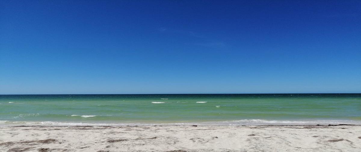 Foto de terreno habitacional en venta en  , san diego, dzemul, yucatán, 28016327 No. 04