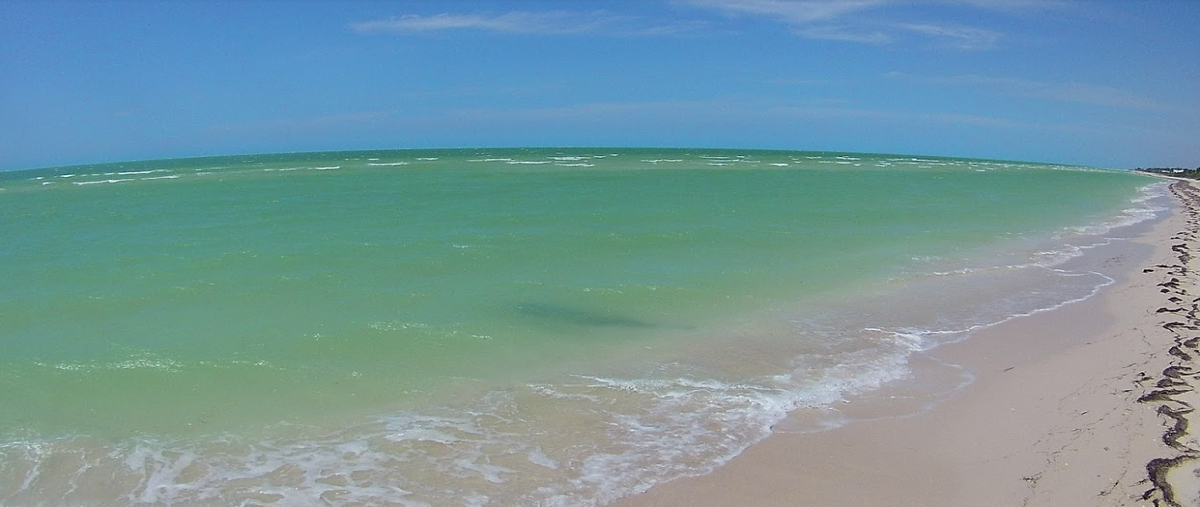 Foto de terreno habitacional en venta en  , san diego, dzemul, yucatán, 28026098 No. 04