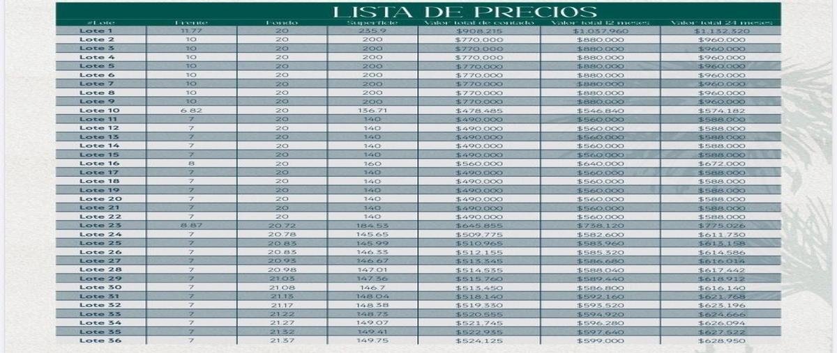 Foto de terreno habitacional en venta en  , san diego, dzemul, yucatán, 28041624 No. 04