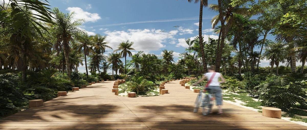 Foto de terreno habitacional en venta en  , san diego, dzemul, yucatán, 28209455 No. 03