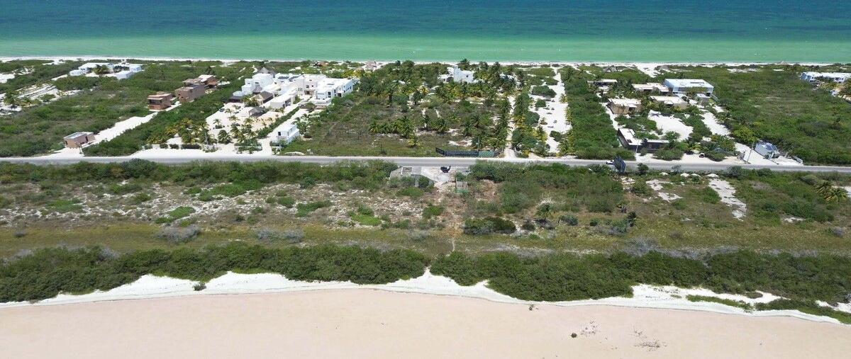 Foto de terreno habitacional en venta en  , san diego, dzemul, yucatán, 28366109 No. 03