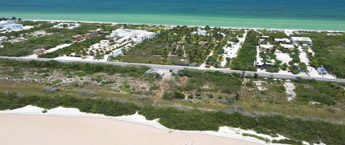 Foto de terreno habitacional en venta en  , san diego, dzemul, yucatán, 28366109 No. 04