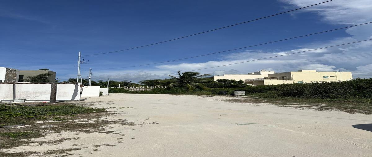 Foto de terreno habitacional en venta en  , san diego, dzemul, yucatán, 0 No. 04