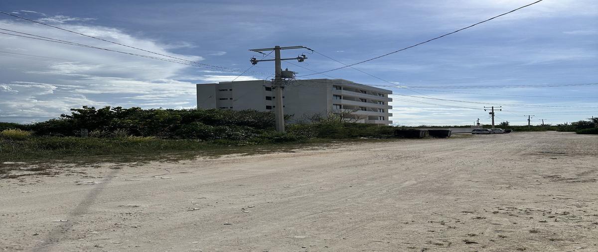 Foto de terreno habitacional en venta en  , san diego, dzemul, yucatán, 0 No. 05