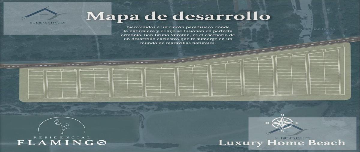 Foto de terreno habitacional en , san diego, dzemul, yucatán, 0 foto 03 Foto de terreno habitacional en venta en , san diego, dzemul, yucatán, 0 No. 03