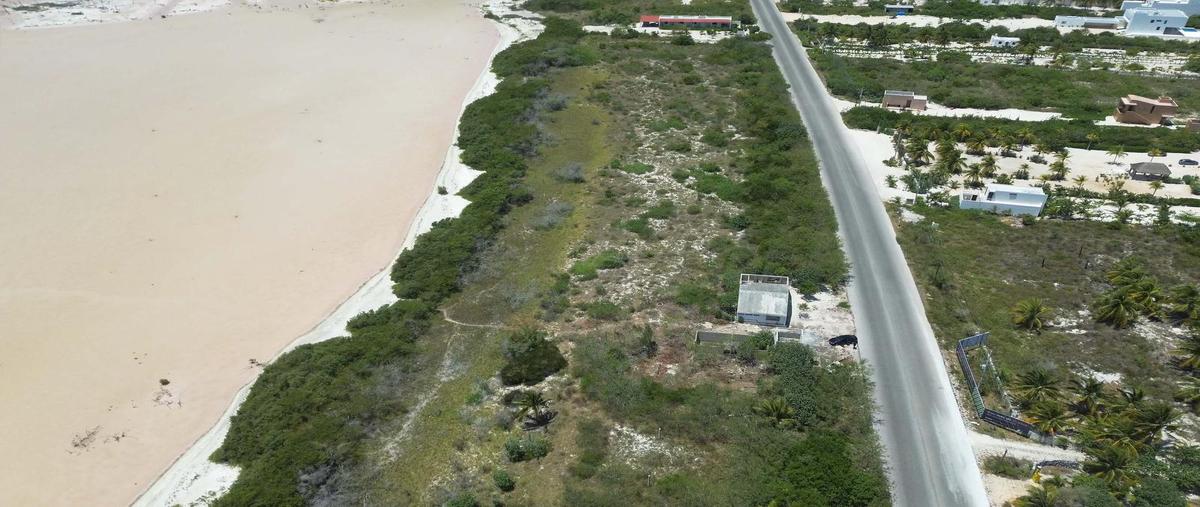 Foto de terreno habitacional en , san diego, dzemul, yucatán, 0 foto 01 Foto de terreno habitacional en venta en , san diego, dzemul, yucatán, 0 No. 01