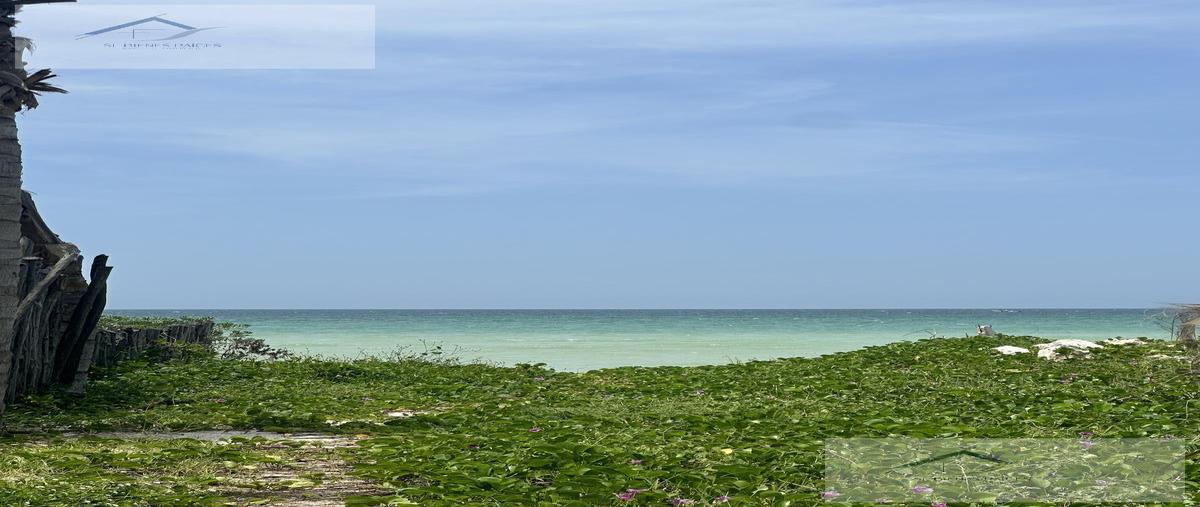 Foto de terreno habitacional en venta en  , san diego, dzemul, yucatán, 0 No. 03