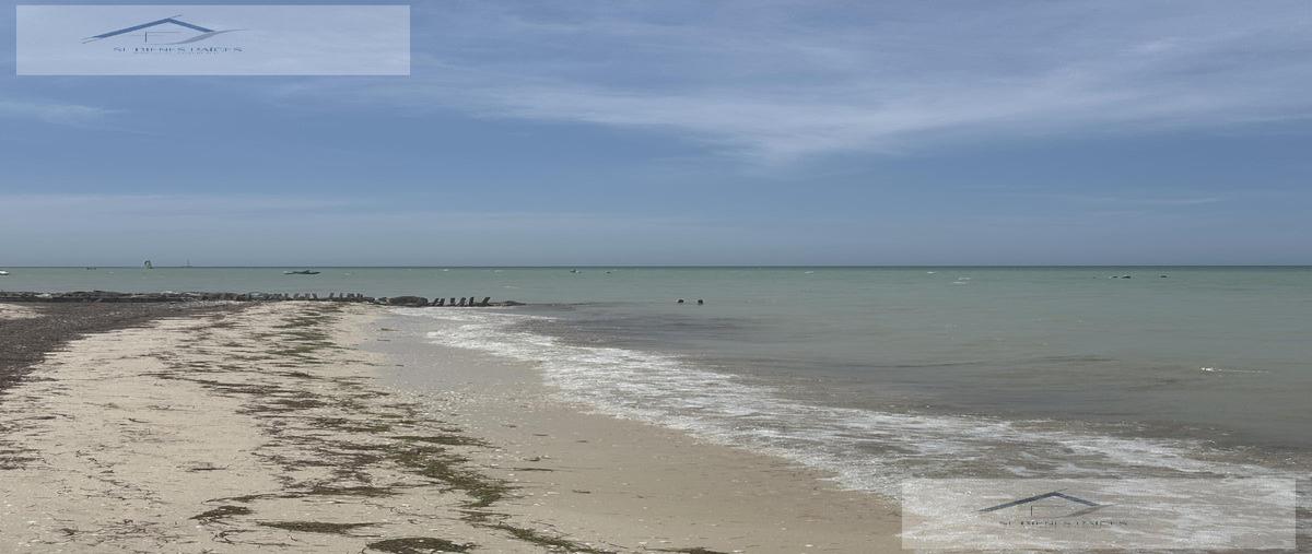 Foto de terreno habitacional en venta en  , san diego, dzemul, yucatán, 0 No. 05