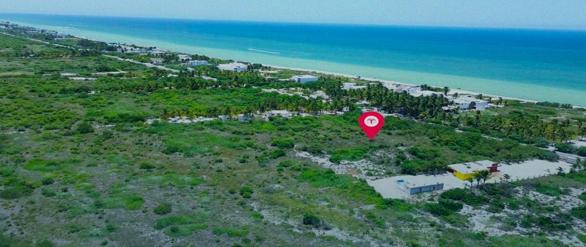 Foto de terreno habitacional en venta en  , san diego, dzemul, yucatán, 0 No. 04
