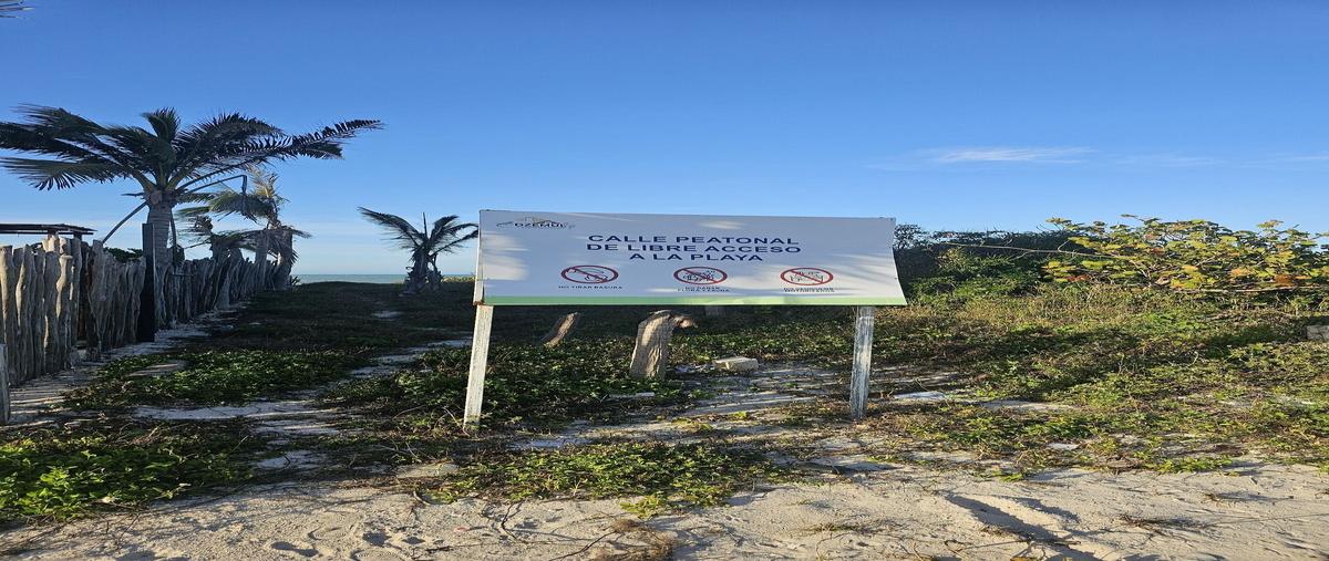 Foto de terreno habitacional en venta en  , san diego, dzemul, yucatán, 29269235 No. 04