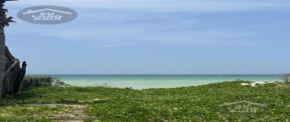 Foto de terreno habitacional en venta en  , san diego, dzemul, yucatán, 29335902 No. 03