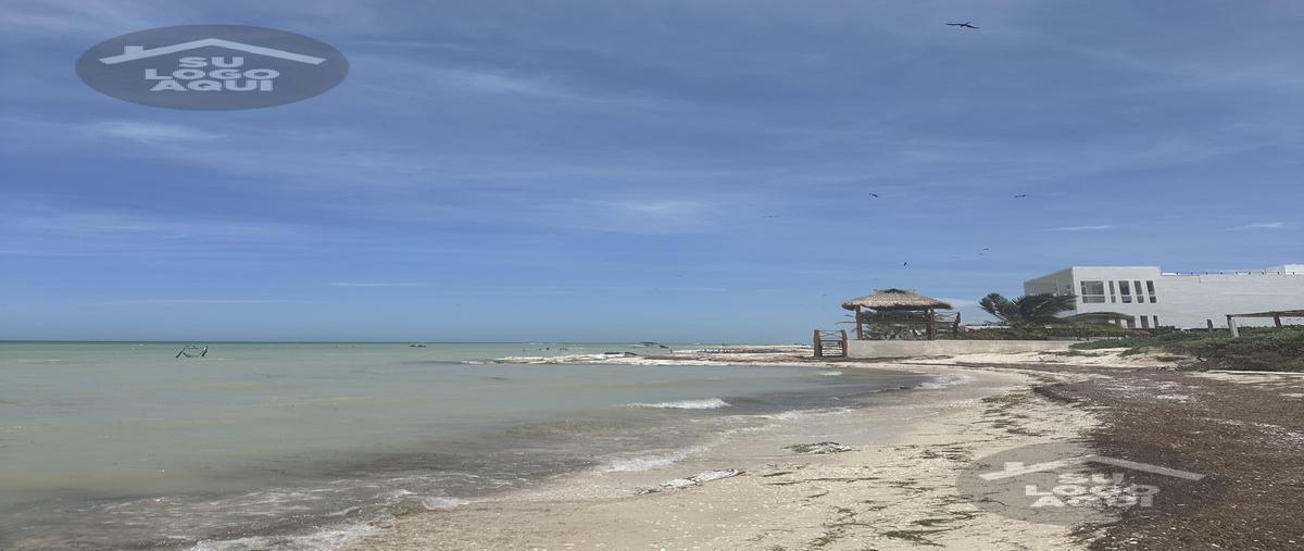 Foto de terreno habitacional en venta en  , san diego, dzemul, yucatán, 29335902 No. 04