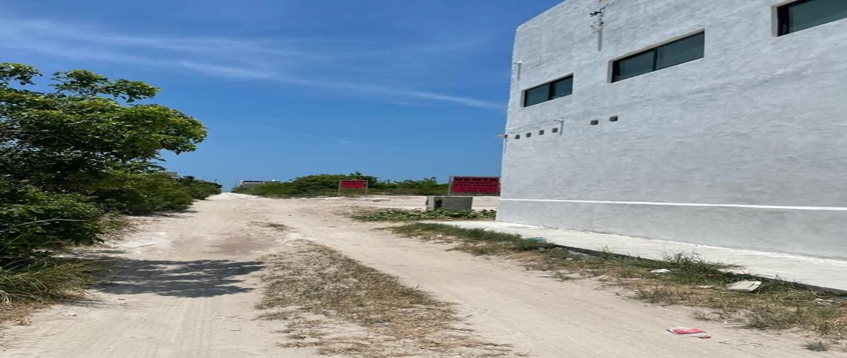 Foto de terreno habitacional en venta en  , san diego, dzemul, yucatán, 29366241 No. 05