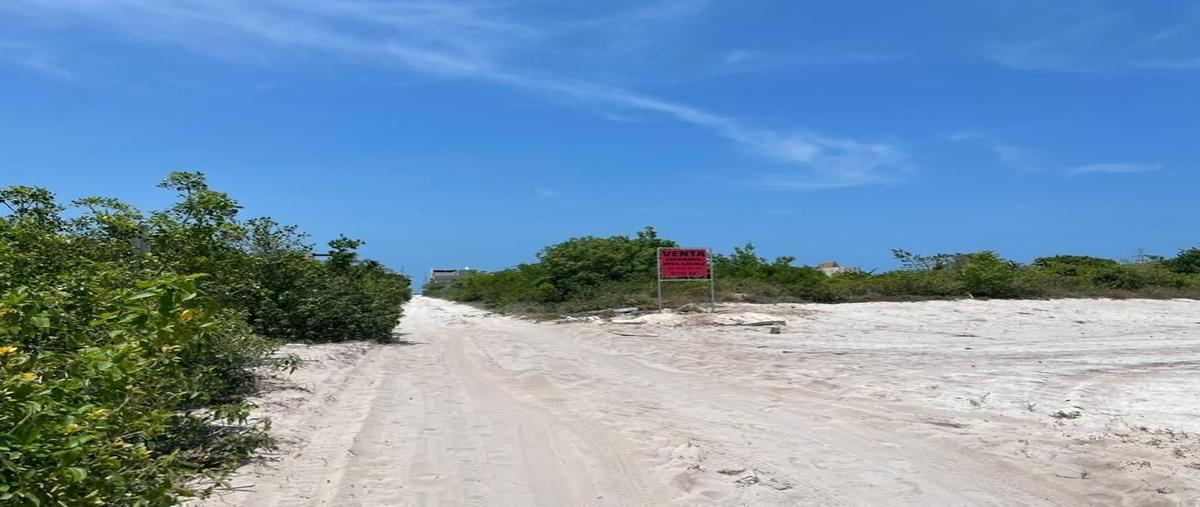 Foto de terreno habitacional en venta en  , san diego, dzemul, yucatán, 29366242 No. 04