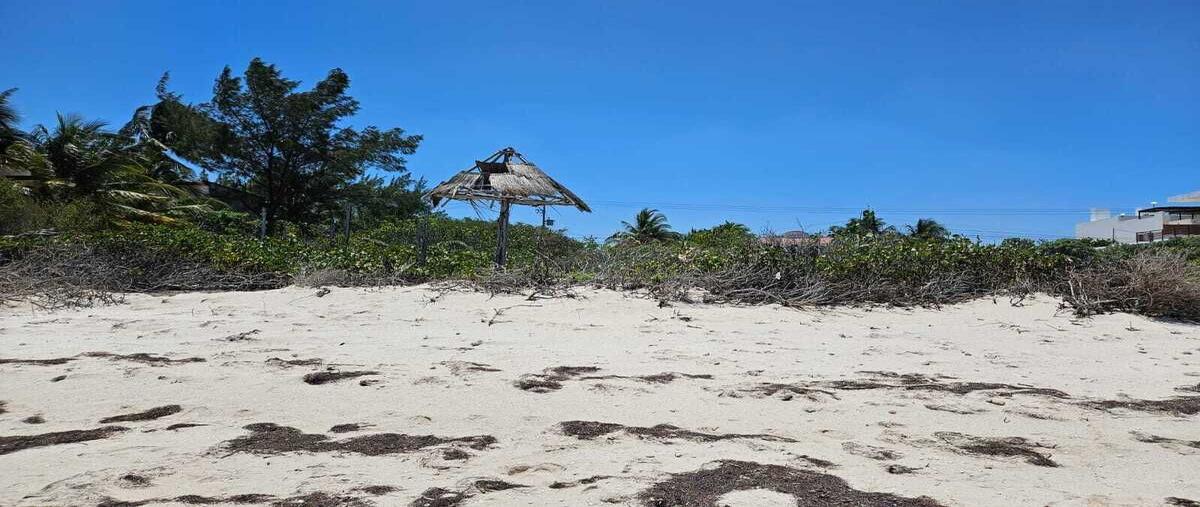 Foto de terreno habitacional en venta en  , san diego, dzemul, yucatán, 0 No. 03