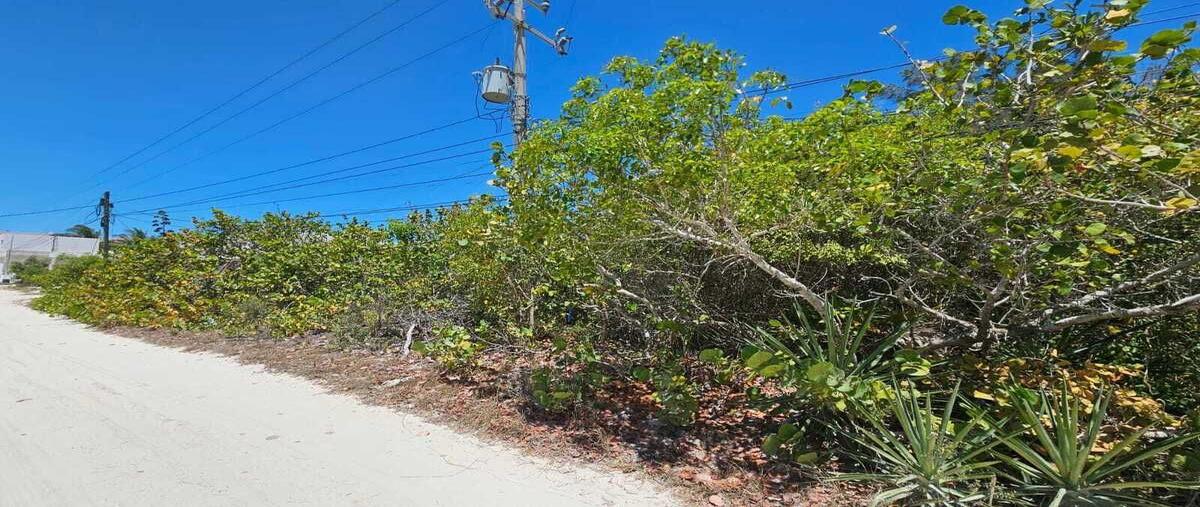 Foto de terreno habitacional en venta en  , san diego, dzemul, yucatán, 0 No. 05