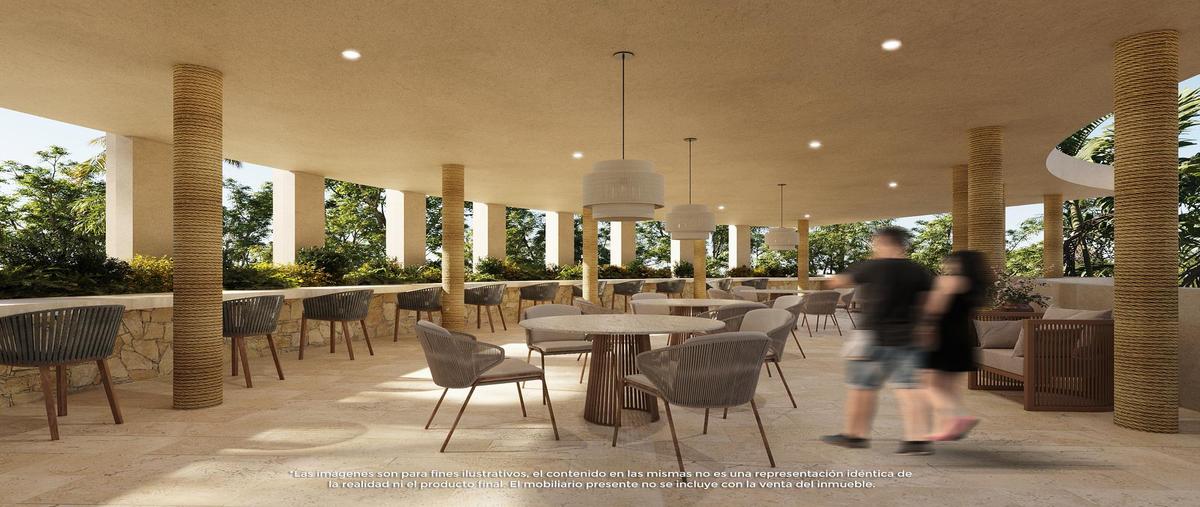 Foto de terreno habitacional en venta en  , san diego, dzemul, yucatán, 0 No. 05