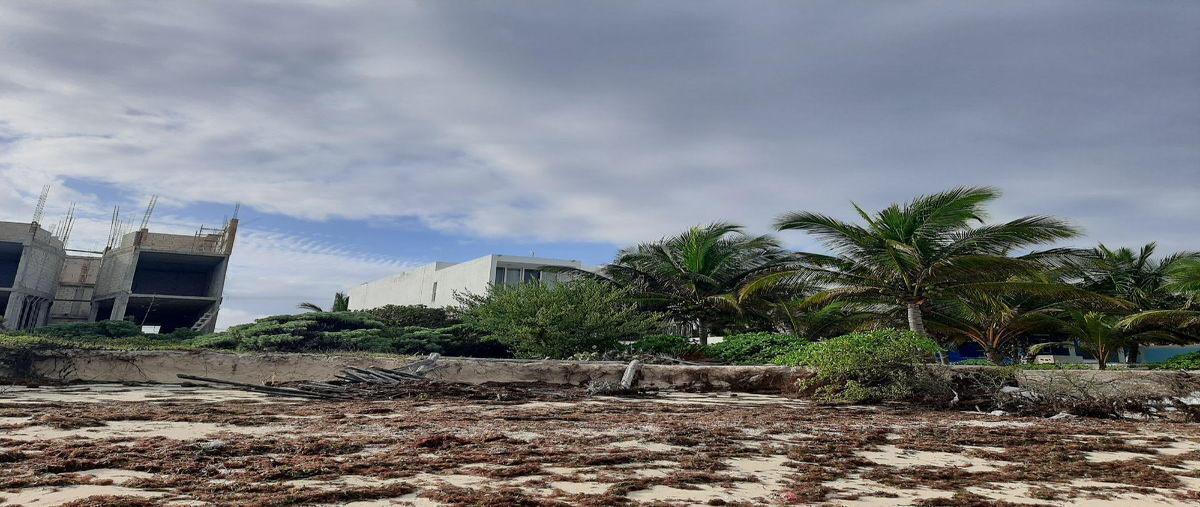 Foto de terreno habitacional en venta en  , san diego, dzemul, yucatán, 0 No. 04