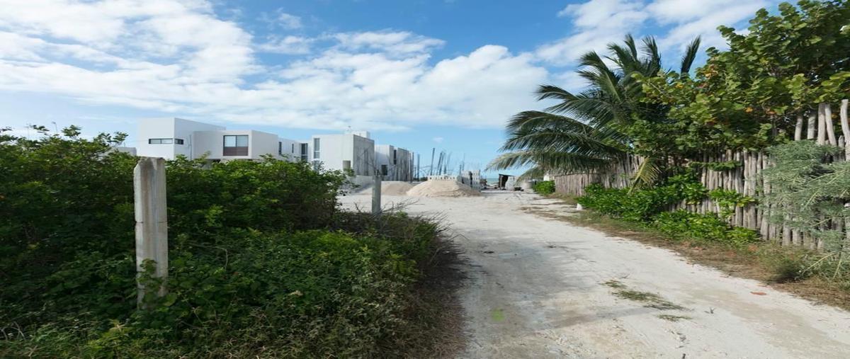 Foto de terreno habitacional en venta en  , san diego, dzemul, yucatán, 0 No. 05