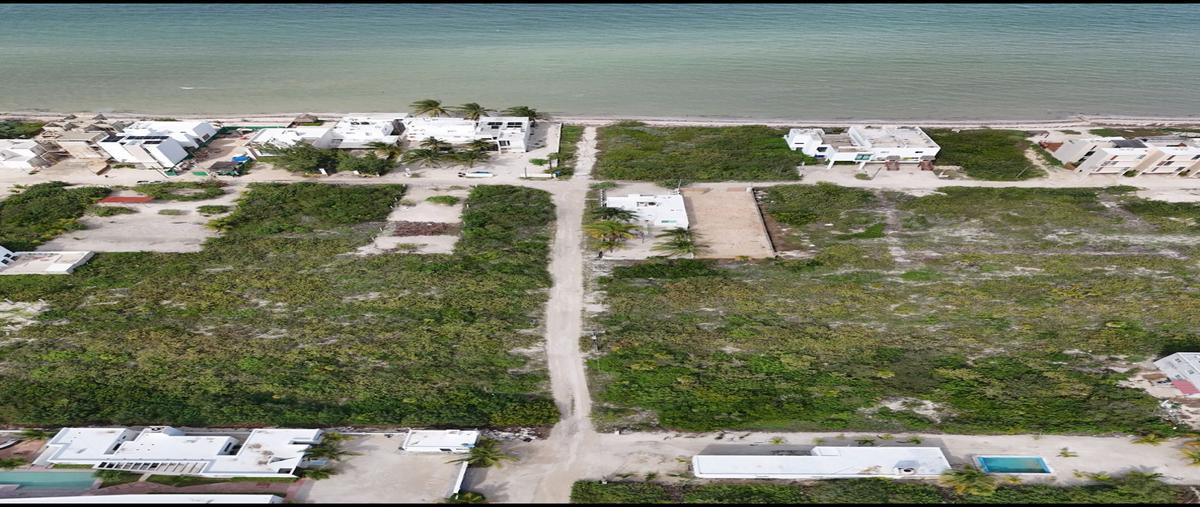 Foto de terreno habitacional en , san diego, dzemul, yucatán, 29861175 foto 03 Foto de terreno habitacional en venta en , san diego, dzemul, yucatán, 29861175 No. 03