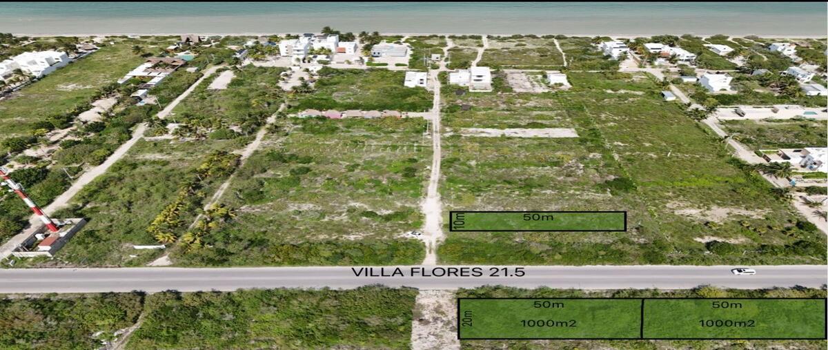 Foto de terreno habitacional en , san diego, dzemul, yucatán, 29861175 foto 04 Foto de terreno habitacional en venta en , san diego, dzemul, yucatán, 29861175 No. 04