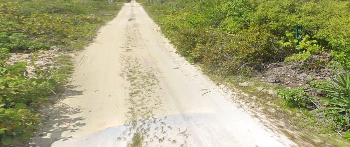 Foto de terreno habitacional en venta en  , san diego, dzemul, yucatán, 0 No. 03