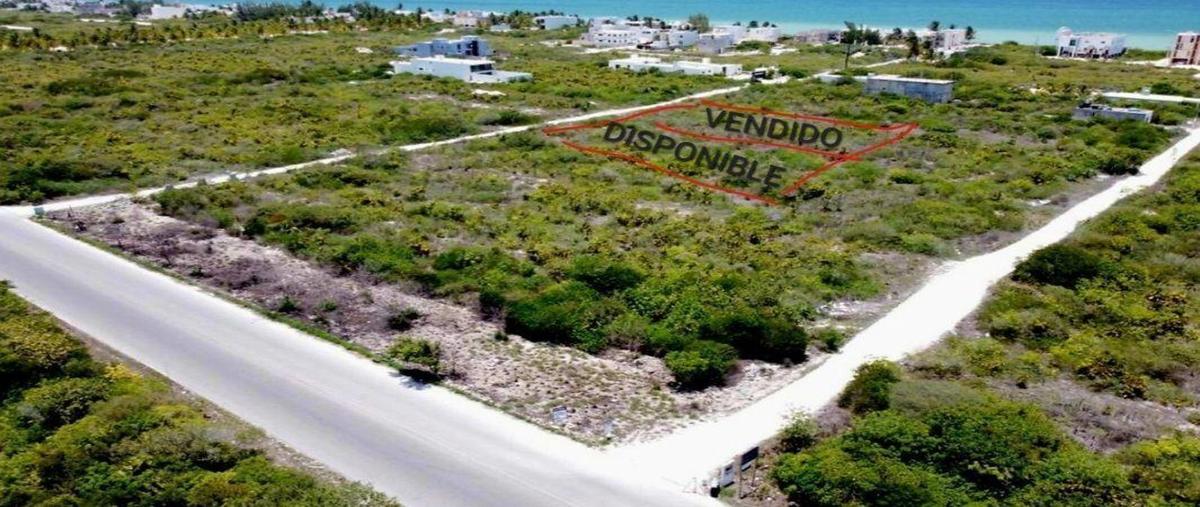 Foto de terreno habitacional en , san diego, dzemul, yucatán, 0 foto 01 Foto de terreno habitacional en venta en , san diego, dzemul, yucatán, 0 No. 01