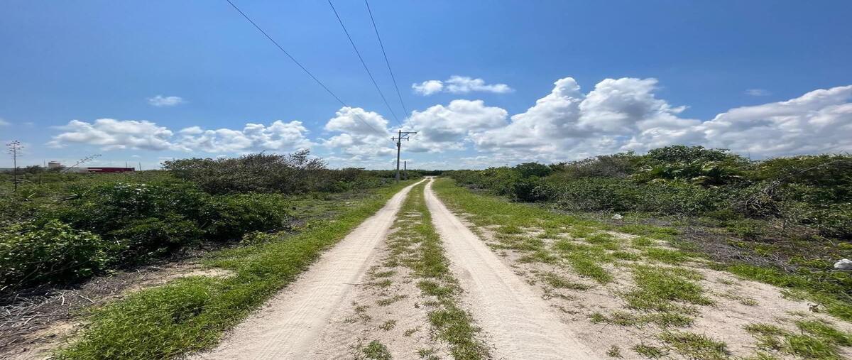 Foto de terreno habitacional en venta en  , san diego, dzemul, yucatán, 0 No. 03