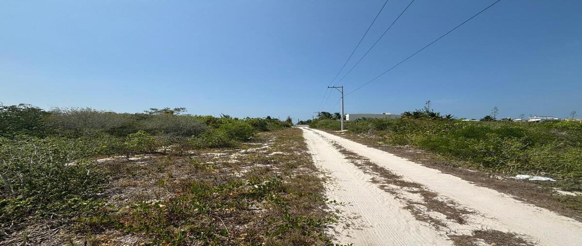 Foto de terreno habitacional en venta en  , san diego, dzemul, yucatán, 0 No. 05