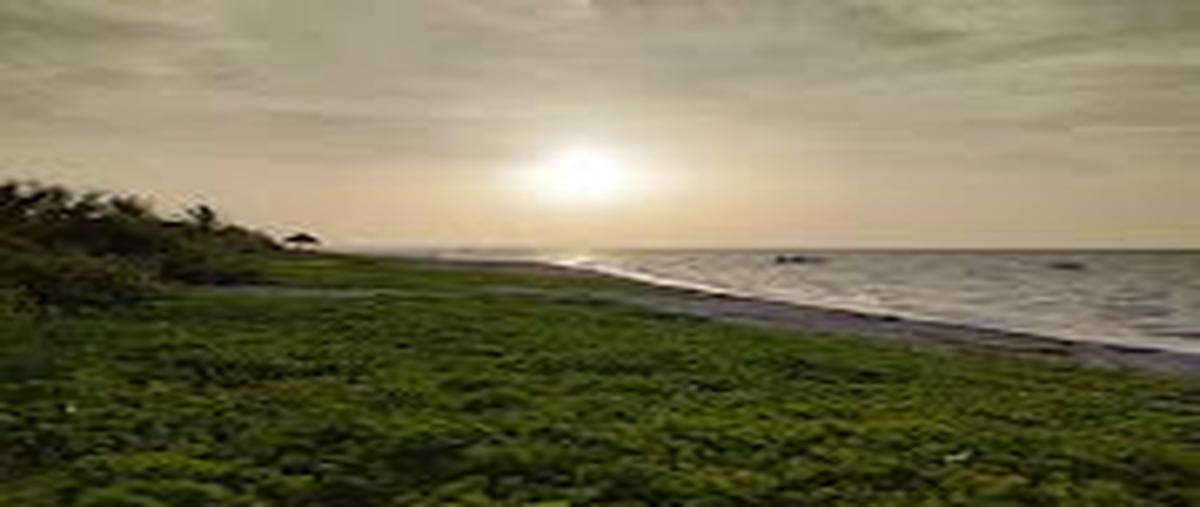 Foto de terreno habitacional en venta en  , san diego, dzemul, yucatán, 30028674 No. 03